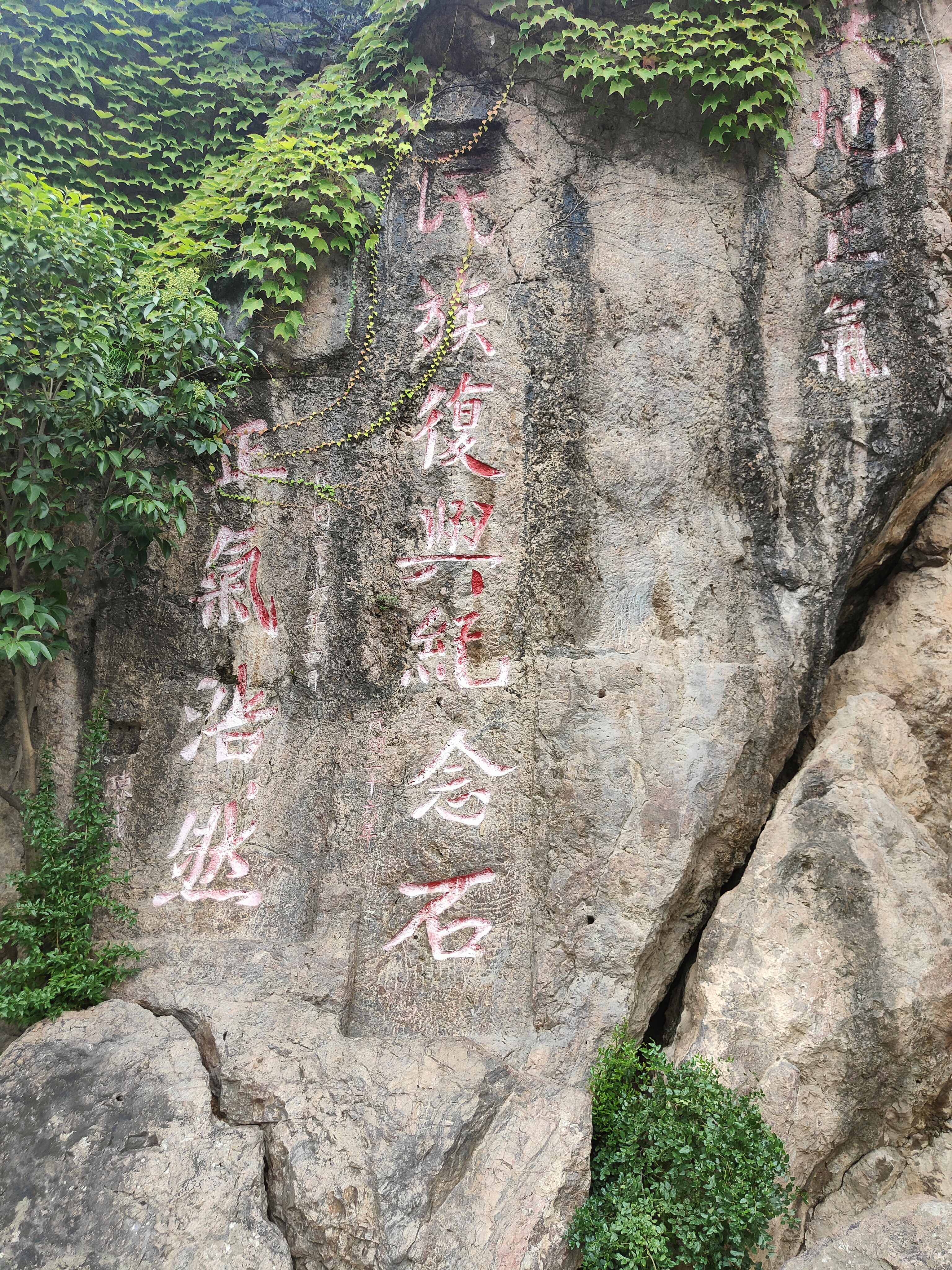 IMG20260816163901.jpg
