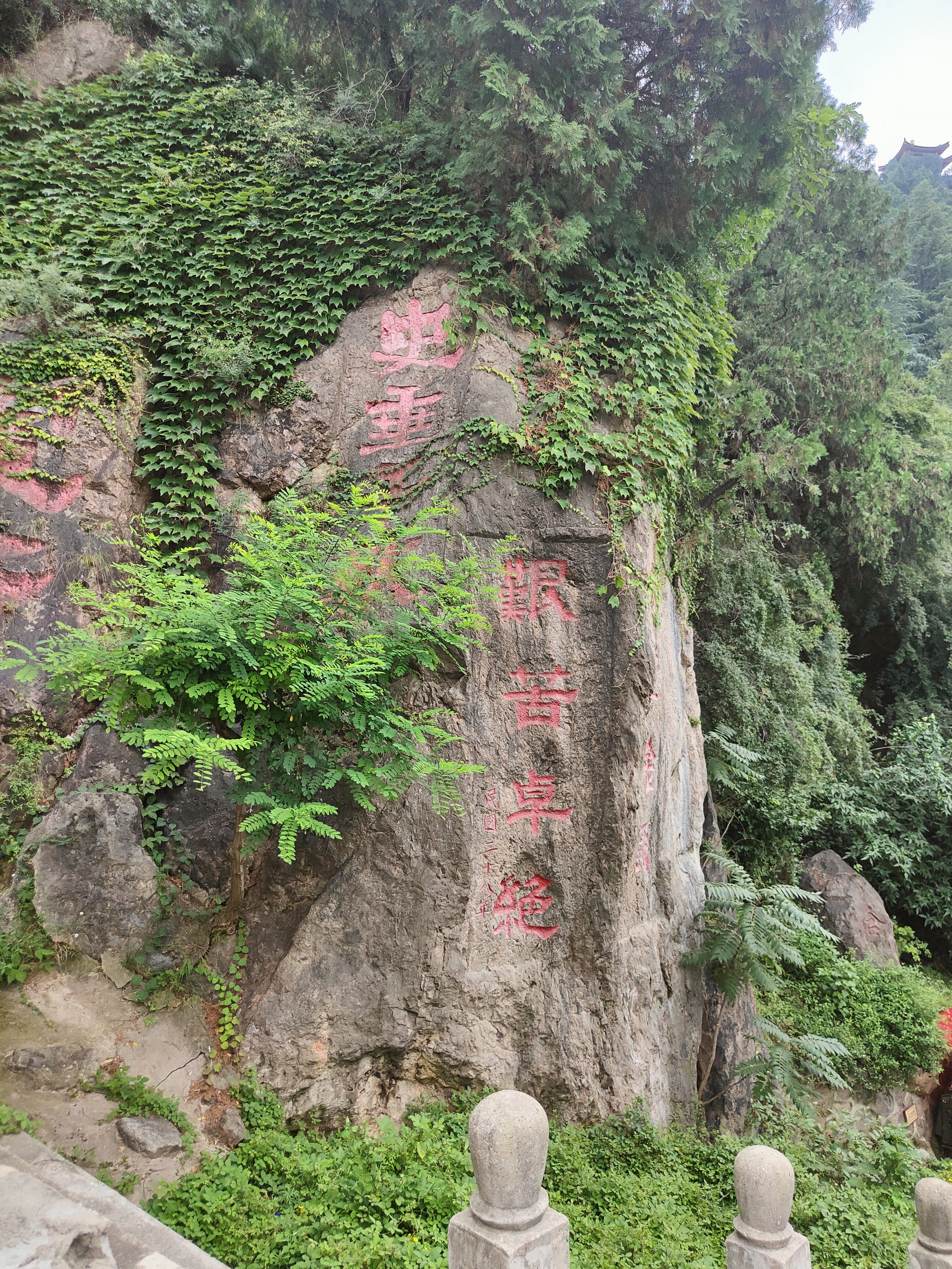 IMG20260816164209.jpg